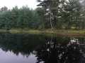 Black River Falls Land Real Estate
