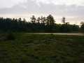 Black River Falls Land Real Estate