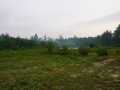 Black River Falls Land Real Estate