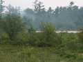 Black River Falls Land Real Estate