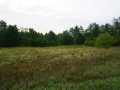 Black River Falls Land Real Estate