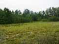 Black River Falls Land Real Estate