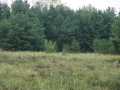Black River Falls Land Real Estate