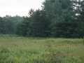 Black River Falls Land Real Estate