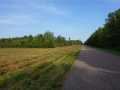 Black River Falls Land Real Estate