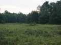 Black River Falls Land Real Estate