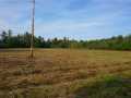 Black River Falls Land Real Estate