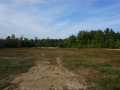 Black River Falls Land Real Estate