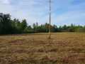 Black River Falls Land Real Estate
