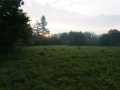 Black River Falls Land Real Estate