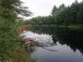 Black River Falls Land Real Estate