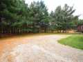 Webster Residential Real Estate