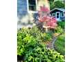 Rice Lake Residential Real Estate