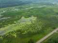 Alma Land Real Estate