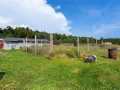 Black River Falls Residential Real Estate