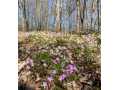 Property Photo 54