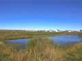 Rice Lake Residential Real Estate