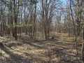 Eau Claire Land Real Estate