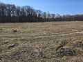 Eau Claire Land Real Estate