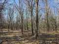 Eau Claire Land Real Estate