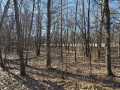 Eau Claire Land Real Estate