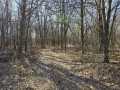 Eau Claire Land Real Estate