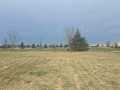 Rice Lake Land Real Estate