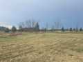 Rice Lake Land Real Estate