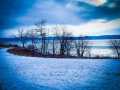 Pepin Residential Real Estate