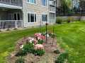Pepin Residential Real Estate