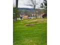 Pepin Residential Real Estate