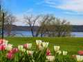 Pepin Residential Real Estate
