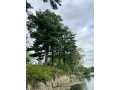 Rice Lake Land Real Estate