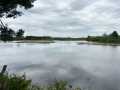 Rice Lake Land Real Estate