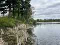 Rice Lake Land Real Estate