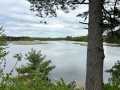 Rice Lake Land Real Estate