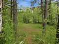 Holcombe Residential Real Estate