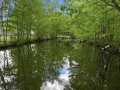 Holcombe Residential Real Estate