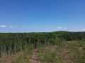 Spooner Land Real Estate