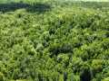 Wausau Land Real Estate