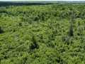 Wausau Land Real Estate