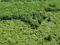 Wausau Land Real Estate
