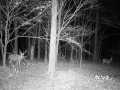 Wausau Land Real Estate
