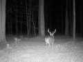 Wausau Land Real Estate