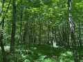 Wausau Land Real Estate
