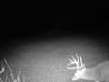 Wausau Land Real Estate