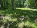 Wausau Land Real Estate