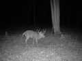 Wausau Land Real Estate