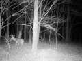 Wausau Land Real Estate