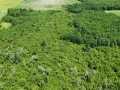 Wausau Land Real Estate